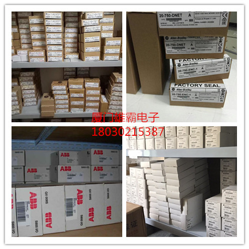 ALLEN BRADLEY 正品优惠 81001-450-52-R