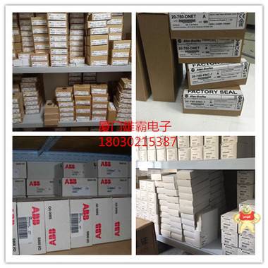 ALLEN BRADLEY 正品优惠 81001-450-53-R 
