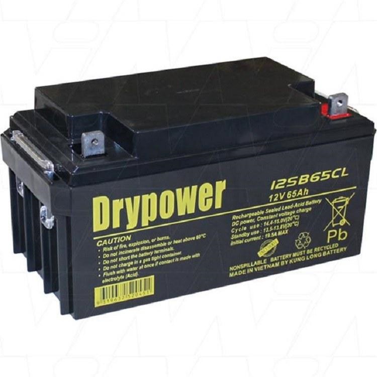 12V50AH美国Drypower蓄电池12GB50C 12V50AH免维护 储能电瓶