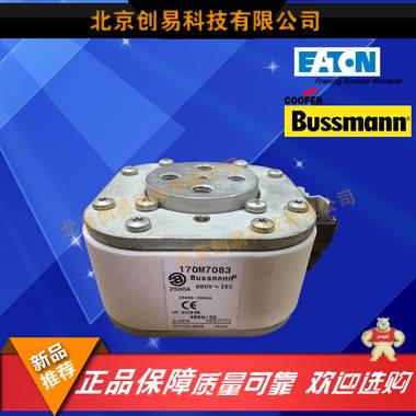 170M7102 690V 2000A熔断器伊顿BUSSMANN全新原装现货 170M7102,保险丝,巴斯曼,熔断器,170M系列