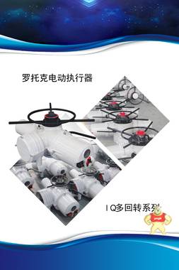 IQ25罗托克多回转电动执行器 罗托克电动执行器,IQ25电动执行器,天津澳托克,IQ多回转电动执行器,角行程电动执行器
