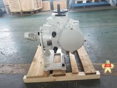 IQT(M)300智能一体化电动执行器 IQT(M)300电动执行器,罗托克电动执行器,IQT角行程,罗托克角行程,角行程电动执行器