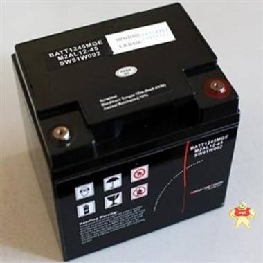 施耐德电池BATT1245 密封铅酸蓄电池 12V45AH 直流屏配电柜 施耐德电池,施耐德蓄电池,施耐德12V45AH