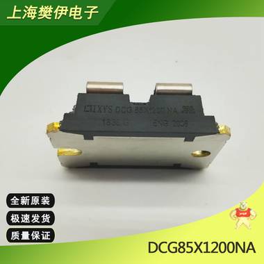 IXDN55N120 IXDN75N120 德國IXYS模塊 IGBT 全新原裝現(xiàn)貨供應(yīng) 