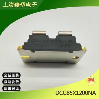 IXDN55N120 IXDN75N120 德国IXYS模块 IGBT 全新原装现货供应 