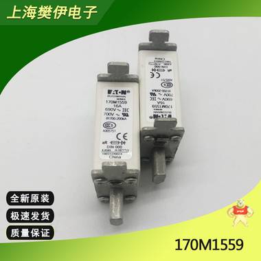 美国巴斯曼BUSSMANN 170M1560D 熔断器保险丝 