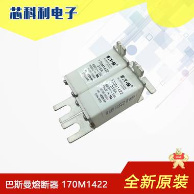 170M3721現(xiàn)貨全新原裝bussmann巴斯曼快速熔斷器 