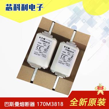 170M3721現(xiàn)貨全新原裝bussmann巴斯曼快速熔斷器 