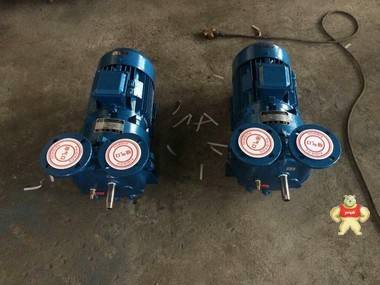 腾乐 2BV5161水环真空泵厂家批发 