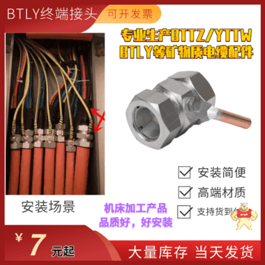 BTLY电缆头厂家 广东BTLY矿物质电缆头规格齐全4*10 BTLY电缆头,NG-A电缆头,矿物质电缆头,BTLY终端头,矿物质电缆终端头