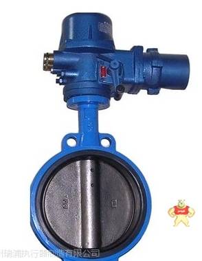 D941F-100C DN15电动蝶阀,阀门电动装置 蝶阀,电动装置,阀门