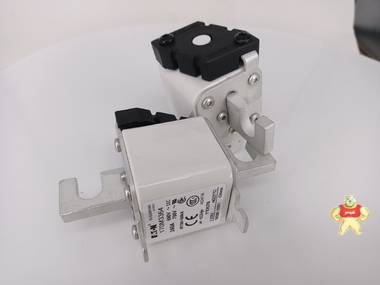 全新原装美国伊顿巴斯曼熔断器170M6008 