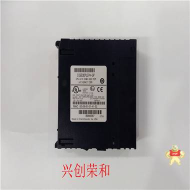 IC800SSD216RS1-CC                             备品备件 