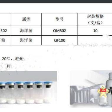 发光细菌冻干粉试剂盒/明亮发光杆菌/海洋菌 10 支一盒 型号:LS100-QM502  库号：M362357 发光细菌冻干粉试剂盒,明亮发光杆菌,海洋菌 10 支一盒,LS100-QM502,M362357