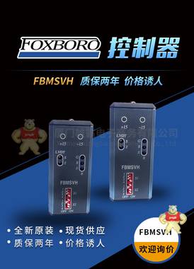 FBMSVH現(xiàn)貨庫存 