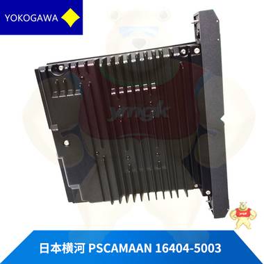 PSCAMAAN 16404-5003 现货库存 
