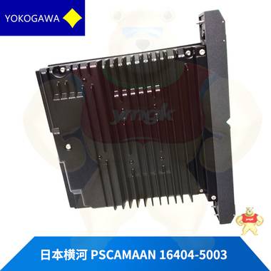 PSCAMAAN 16404-5003 現(xiàn)貨庫(kù)存 