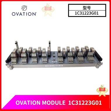 OVATION 1C31223G01 全新现货 全新模块,进口备件,OVATION 1C31223G01