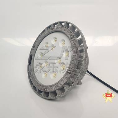 浙江厂家现货供应LED防爆照明灯加油站车间仓库专用 LED防爆灯,防爆灯具,防爆管件