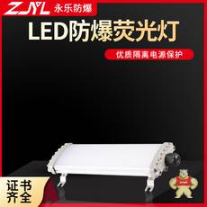 BYD13