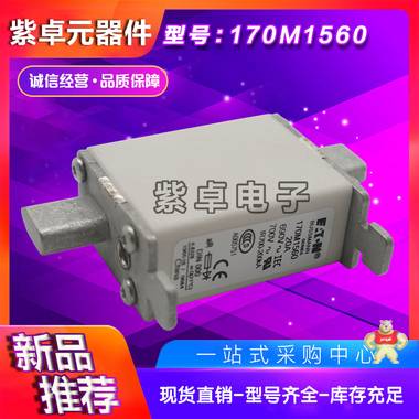 伊顿BUSSMANN巴斯曼170M1560 690V20A熔断器全新原装现货 保险丝,熔断器,熔丝保险管,巴斯曼,保险丝座