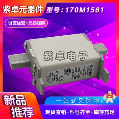 伊顿BUSSMANN巴斯曼170M1561 690V25A熔断器全新原装现货 保险丝,熔断器,熔丝保险管,巴斯曼,保险丝座