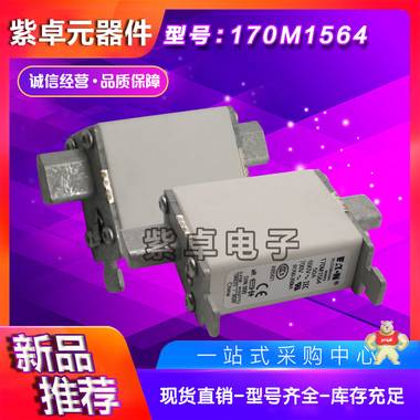 伊顿BUSSMANN巴斯曼170M1564 690V50A熔断器全新原装现货 保险丝,熔断器,熔丝保险管,巴斯曼,保险丝座