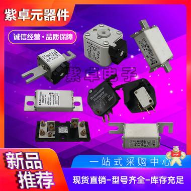 伊頓BUSSMANN巴斯曼 170M4410 熔斷器 保險絲 全新原裝現(xiàn)貨 保險絲,快速熔斷器,斷路器,保險絲座,熔絲
