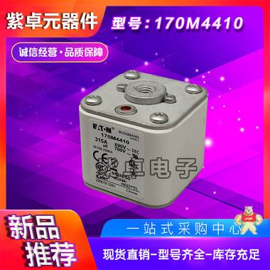 伊頓BUSSMANN巴斯曼 170M4410 熔斷器 保險絲 全新原裝現(xiàn)貨 保險絲,快速熔斷器,斷路器,保險絲座,熔絲