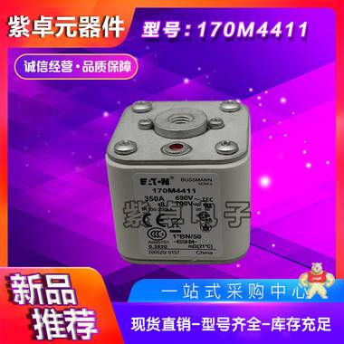 伊頓BUSSMANN巴斯曼 170M4411 熔斷器 保險絲 全新原裝現(xiàn)貨 保險絲,快速熔斷器,斷路器,保險絲座,熔絲