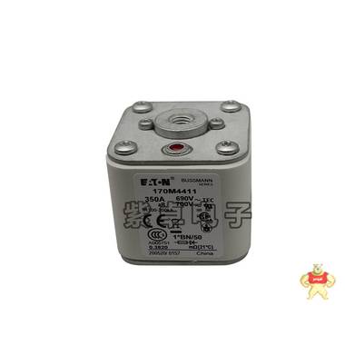 伊頓BUSSMANN巴斯曼 170M4411 熔斷器 保險絲 全新原裝現(xiàn)貨 保險絲,快速熔斷器,斷路器,保險絲座,熔絲