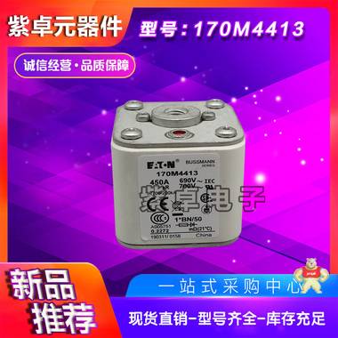 伊頓BUSSMANN巴斯曼 170M4412 熔斷器 保險絲 全新原裝現貨 保險絲,快速熔斷器,斷路器,保險絲座,熔絲