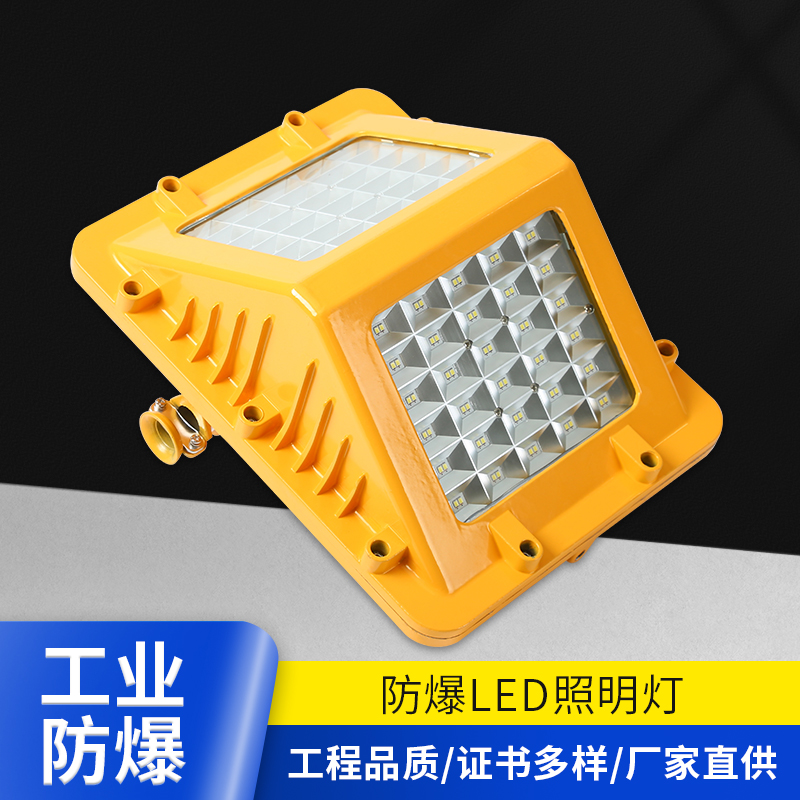 金阳王 DGS40/127L系列矿用隔爆型LED巷道灯 巷道灯 煤矿专用灯  国家标准 证书齐全