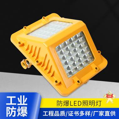 金阳王 DGS40/127L系列矿用隔爆型LED巷道灯 巷道灯 煤矿专用灯  国家标准 证书齐全 LED巷道灯,煤矿巷道灯,矿用LED巷道灯,18W矿用巷道灯