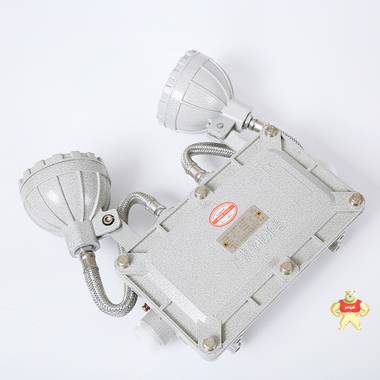 金陽王 消防應(yīng)急照明燈具（防爆） JYW-BXW6229   可集中控制  證書齊全 
