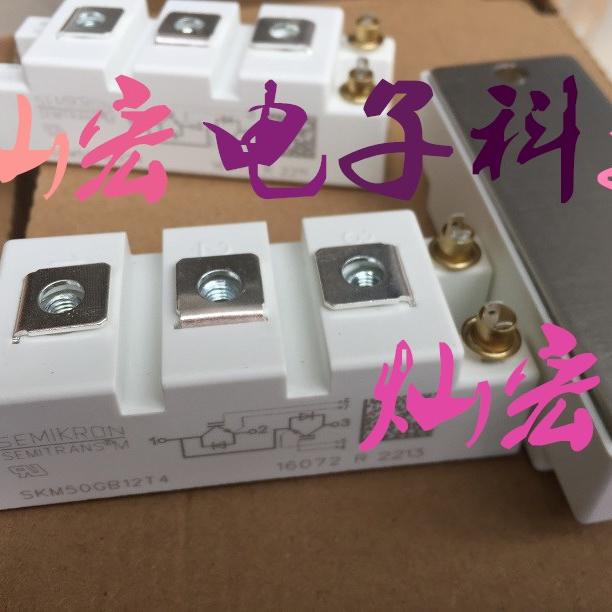 SEMIKRON西门康/赛米控模块SKM195GB066D SKM180A020 SKM100GAL12T4
