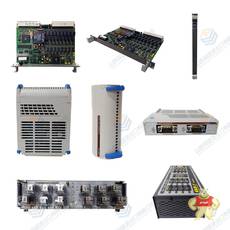 TRICONEX 7400209-010