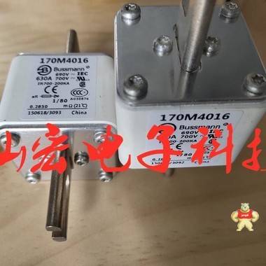 Bussmann巴斯曼快速熔斷器170M6596 170L9589 170M5972 Bussmann巴斯曼熔斷器,巴斯曼快速熔斷器,Bussmann熔斷器,快速熔斷器,熔斷器