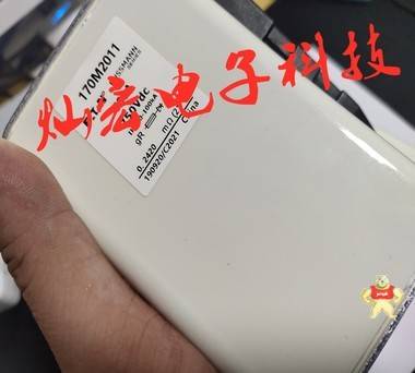 Bussmann巴斯曼快速熔斷器170M6596 170L9589 170M5972 Bussmann巴斯曼熔斷器,巴斯曼快速熔斷器,Bussmann熔斷器,快速熔斷器,熔斷器