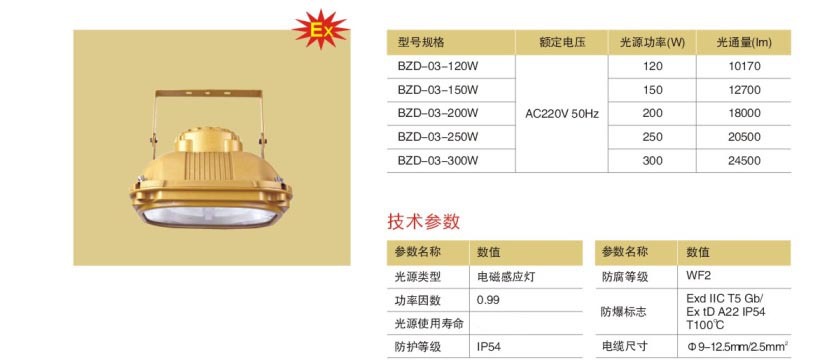 厂家批发BZD-03 防爆免维护低碳无极灯 防爆无极灯 低碳无极灯