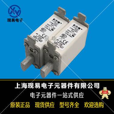 巴斯曼bussmann 170M1563 快速熔斷器 現(xiàn)貨全新原裝正品歡迎來購 西門康,巴斯曼,英飛凌,艾賽斯IXYS,羅蘭