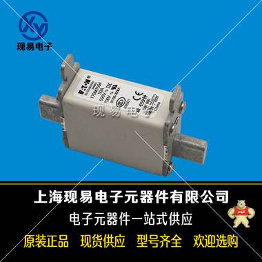 巴斯曼bussmann 170M1564 快速熔斷器 現(xiàn)貨全新原裝正品歡迎來購 