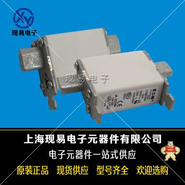 巴斯曼bussmann 170M1564 快速熔斷器 現(xiàn)貨全新原裝正品歡迎來購 