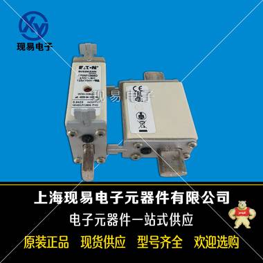巴斯曼bussmann 170M1564 快速熔斷器 現(xiàn)貨全新原裝正品歡迎來購 