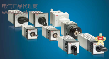 ABB隔離開關(guān)附件熔斷器現(xiàn)貨XLP 3 Adapter-Below XLP 3-EFM-6BC XLP 00 XLP 00-6BC 變頻器,軟啟動(dòng)器,T塑殼開關(guān),接觸器,繼電器