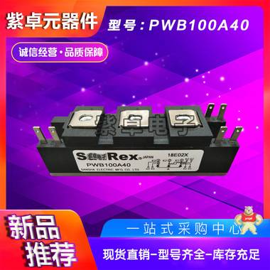 全新原装三社PWB100A40可控硅功率模块 SanRex,三社,可控硅,二极管,整流桥