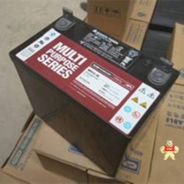 大力神蓄電池12V100AH MPS12-100免維護(hù)蓄電池 UPS電源直流屏用 大力神蓄電池,美國(guó)大力神蓄電池,大力神電池,西恩迪蓄電池,西恩迪蓄電池代理商