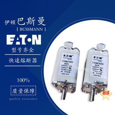 伊顿巴斯曼熔断器170M系列2817 2818 2819 2820 2821 170M2817,170M2818,170M2819,170M2820,170M2821