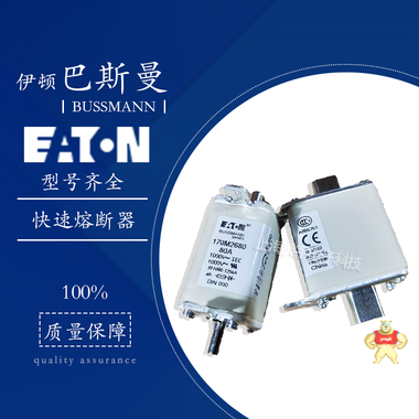 伊顿巴斯曼熔断器170M系列2817 2818 2819 2820 2821 170M2817,170M2818,170M2819,170M2820,170M2821