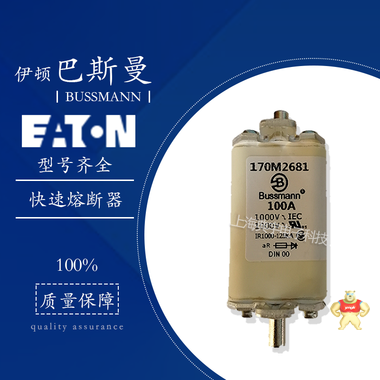 伊顿巴斯曼熔断器170M系列2817 2818 2819 2820 2821 170M2817,170M2818,170M2819,170M2820,170M2821